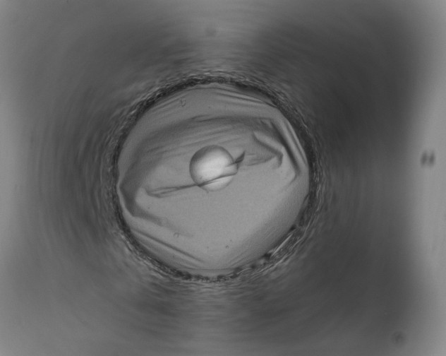X0000111130769200907211113