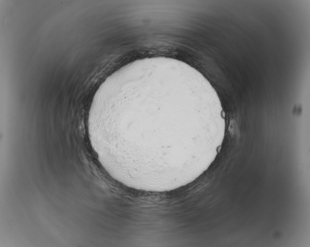 X0000111130771200907211113