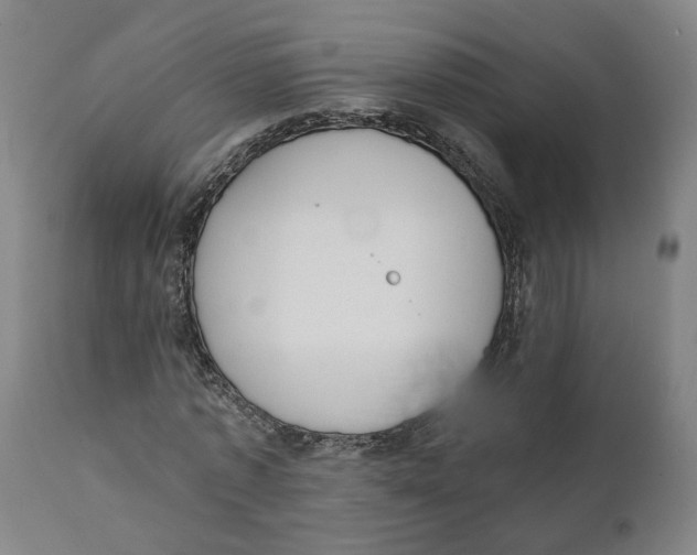 X0000111130773200907211113