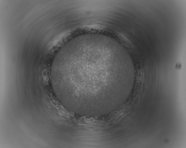 X0000111130774200907211113