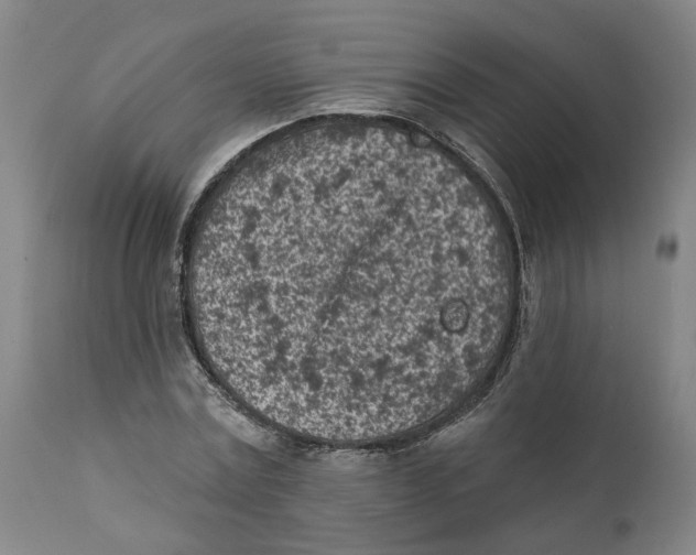 X0000111130779200907211113