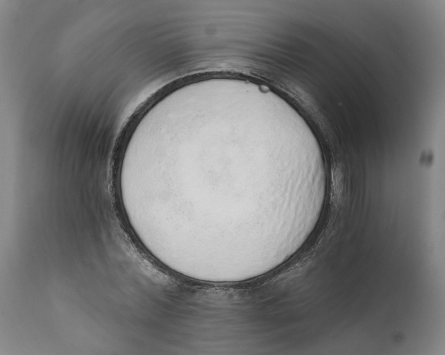 X0000111130780200907211113