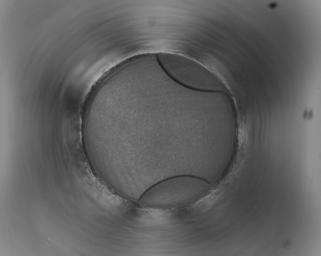 X0000111130781200907211113