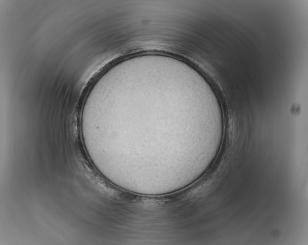 X0000111130782200907211113