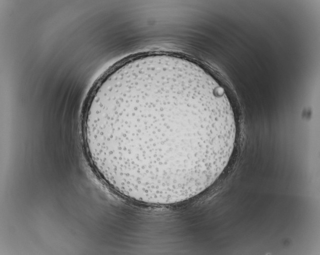 X0000111130784200907211113