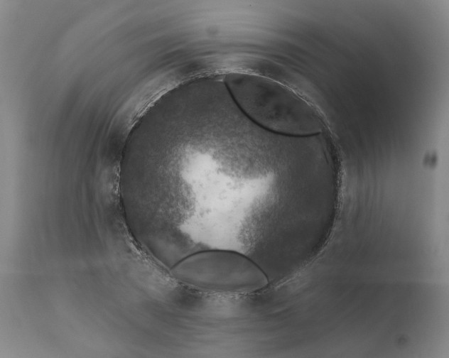 X0000111130785200907211113