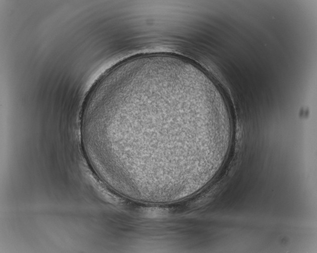 X0000111130789200907211113