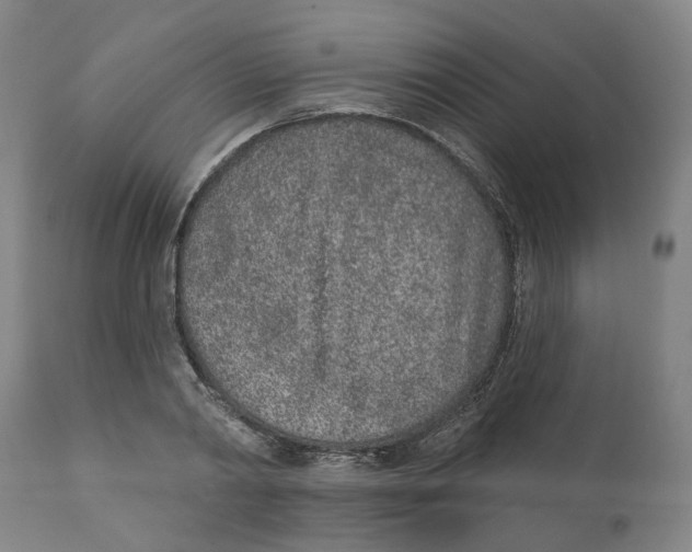 X0000111130790200907211113