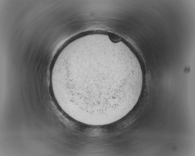 X0000111130791200907211113