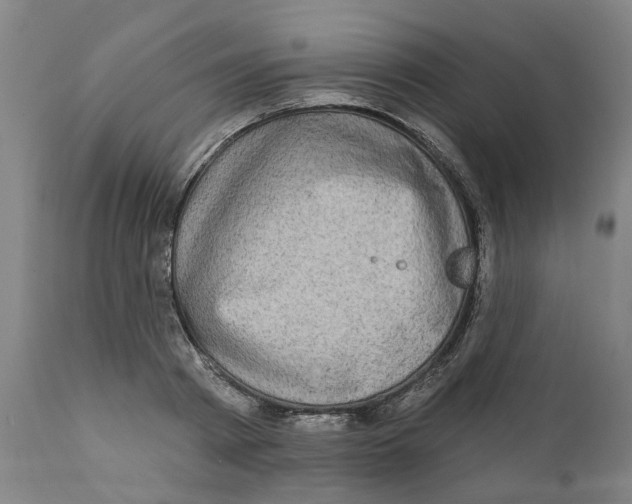 X0000111130793200907211113