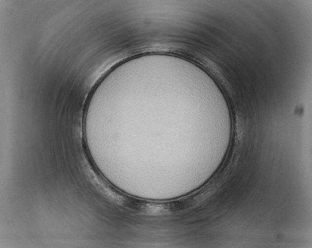 X0000111130794200907211113