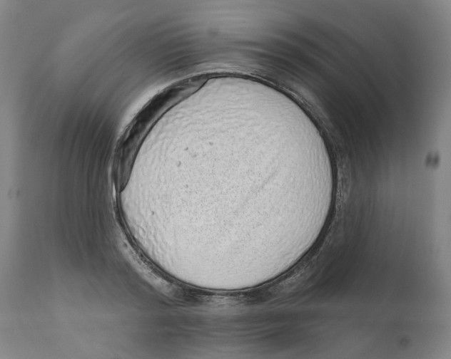 X0000111130796200907211113