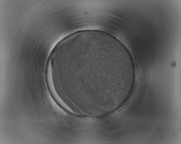 X0000111130797200907211113