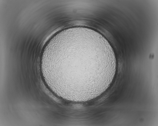 X0000111130798200907211113