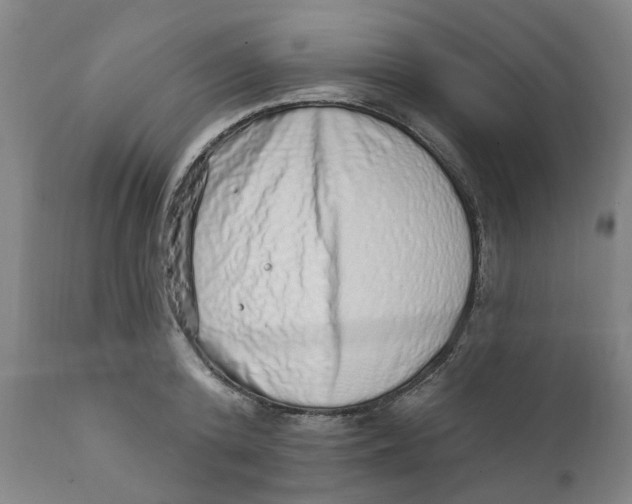 X0000111130800200907211113