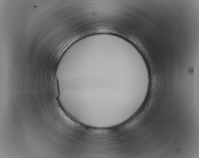 X0000111130801200907211113