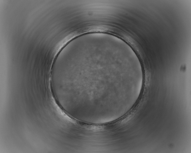 X0000111130802200907211113