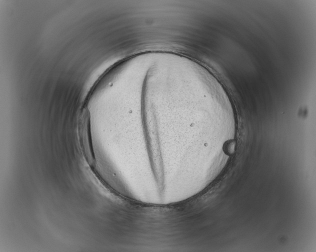 X0000111130804200907211113