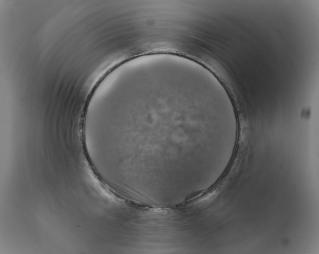 X0000111130806200907211113