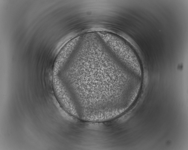 X0000111130809200907211113
