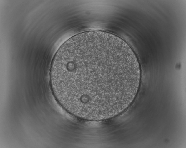 X0000111130810200907211113