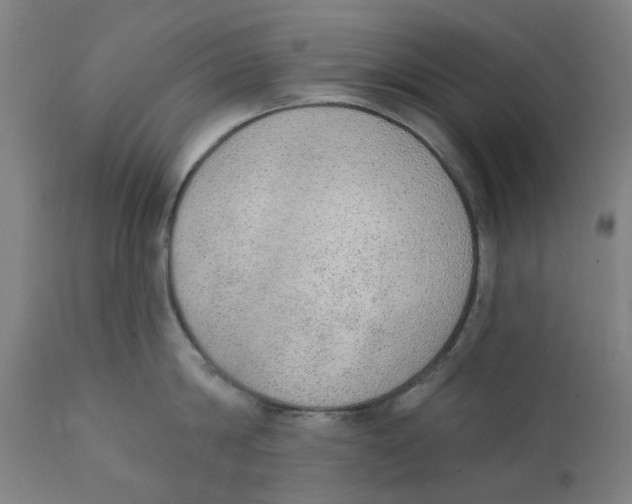 X0000111130814200907211113