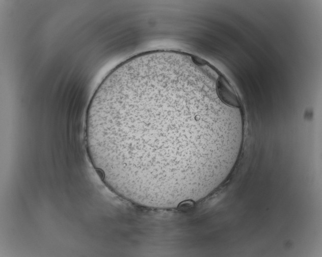 X0000111130815200907211113