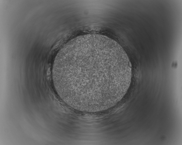 X0000111130818200907211112