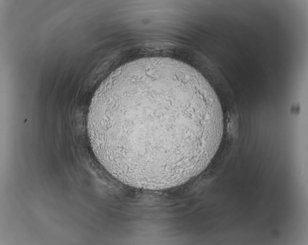 X0000111130819200907211112