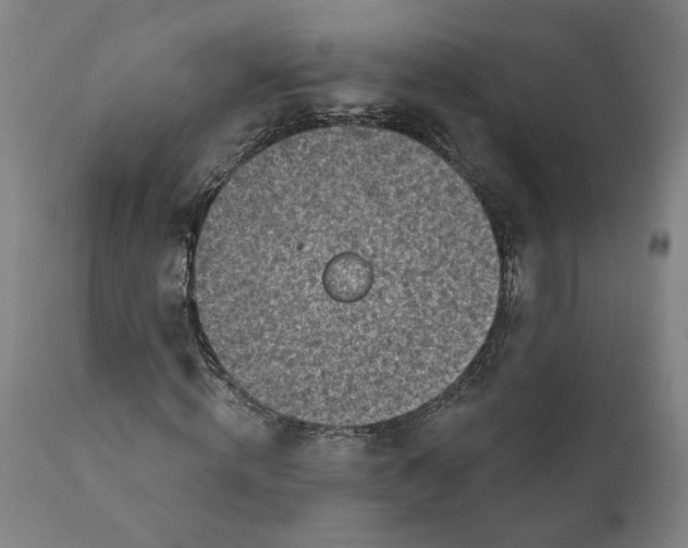 X0000111130820200907211112