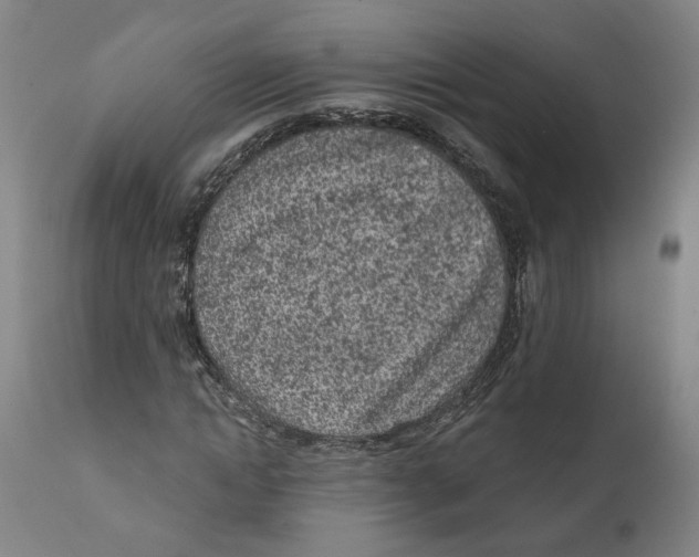 X0000111130822200907211112