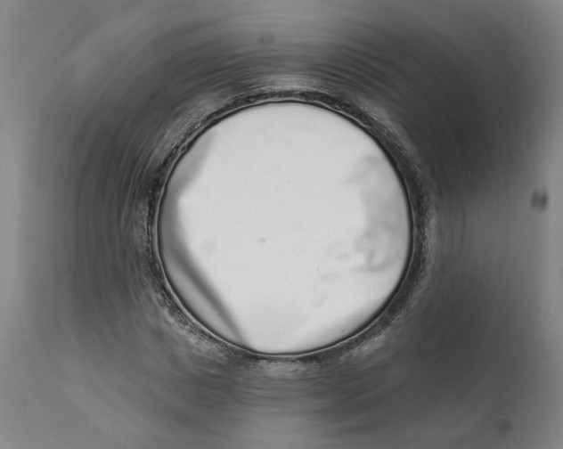 X0000111130825200907211112
