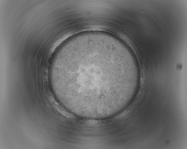 X0000111130827200907211112