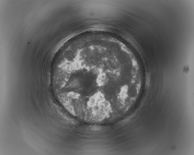 X0000111130829200907211112