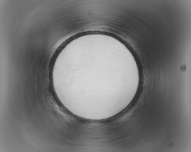 X0000111130830200907211112