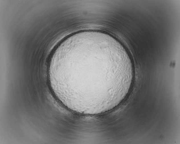 X0000111130835200907211112