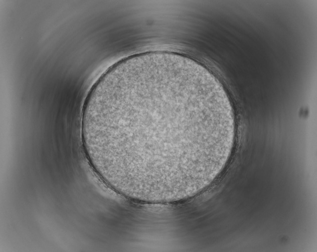 X0000111130836200907211112