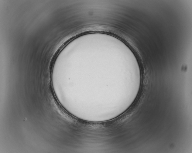 X0000111130837200907211112