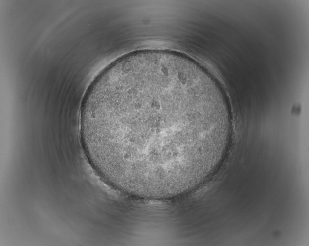 X0000111130839200907211112