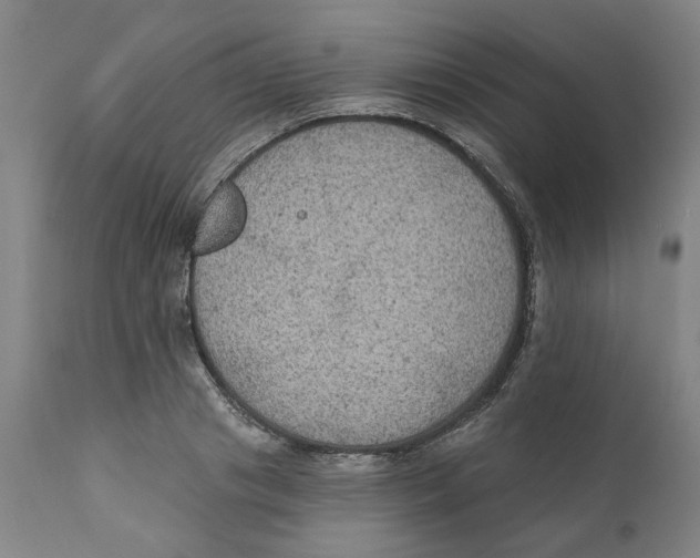 X0000111130841200907211112