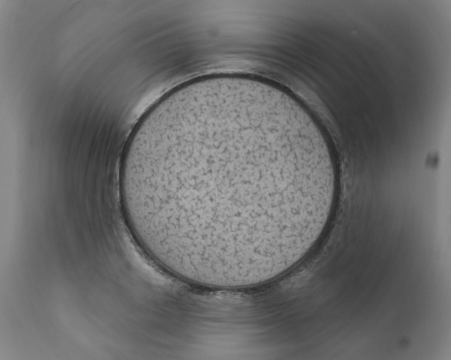 X0000111130842200907211112