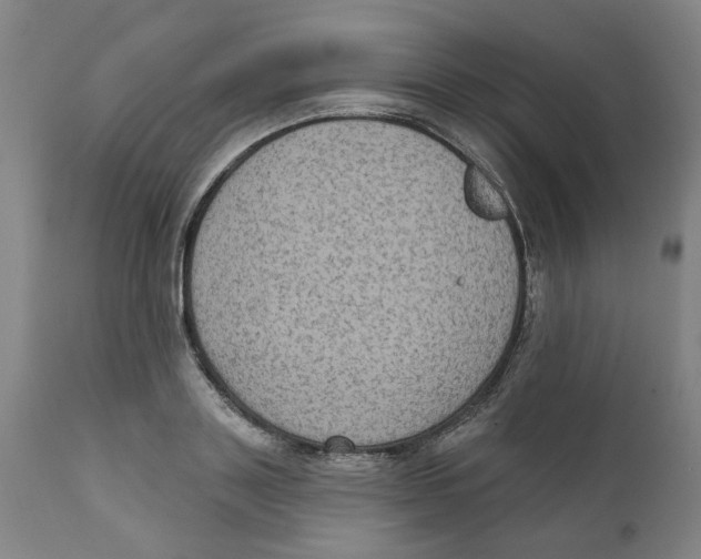 X0000111130843200907211112