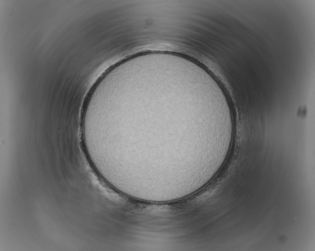 X0000111130845200907211112