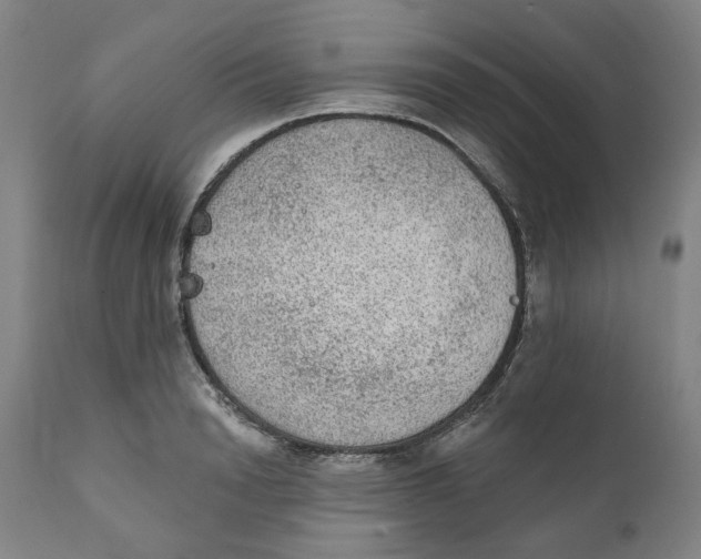 X0000111130846200907211112