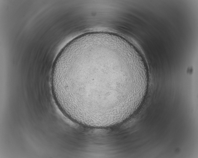 X0000111130847200907211112
