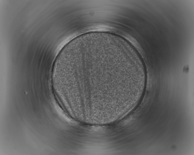 X0000111130850200907211112