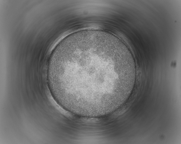X0000111130851200907211112