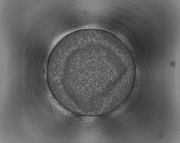 X0000111130854200907211112