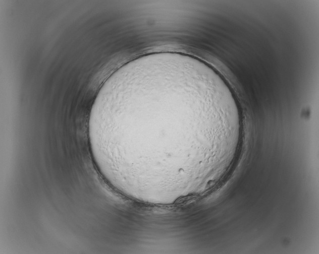X0000111130857200907211113