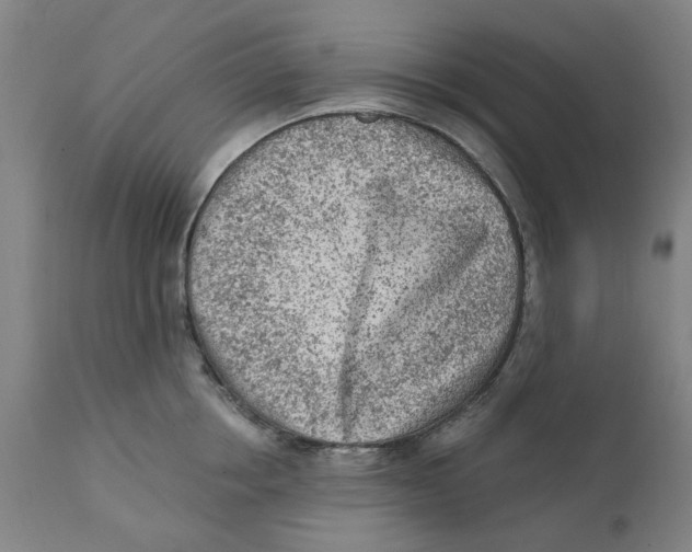 X0000111130858200907211113